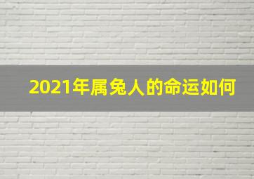 2021年属兔人的命运如何