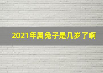 2021年属兔子是几岁了啊