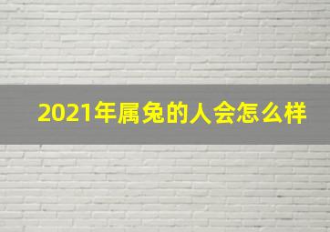 2021年属兔的人会怎么样