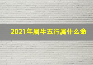 2021年属牛五行属什么命