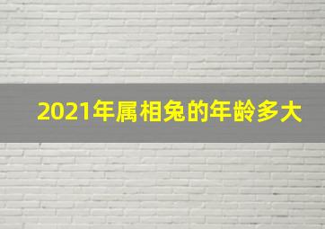 2021年属相兔的年龄多大