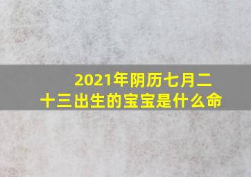 2021年阴历七月二十三出生的宝宝是什么命