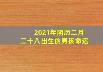 2021年阴历二月二十八出生的男孩命运