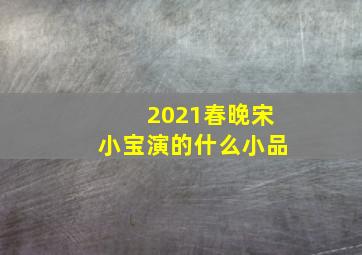 2021春晚宋小宝演的什么小品