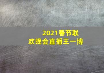 2021春节联欢晚会直播王一博