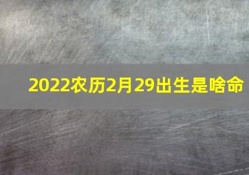 2022农历2月29出生是啥命