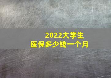 2022大学生医保多少钱一个月