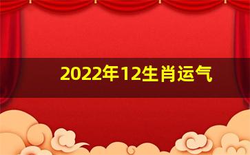 2022年12生肖运气