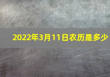 2022年3月11日农历是多少