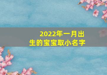 2022年一月出生的宝宝取小名字