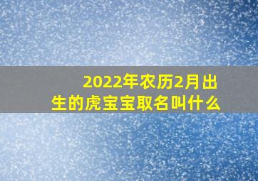 2022年农历2月出生的虎宝宝取名叫什么