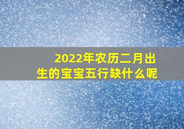 2022年农历二月出生的宝宝五行缺什么呢