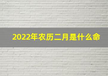 2022年农历二月是什么命