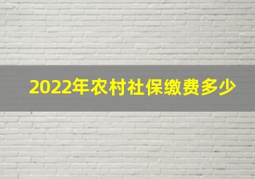 2022年农村社保缴费多少