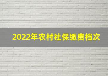 2022年农村社保缴费档次