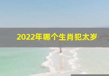 2022年哪个生肖犯太岁