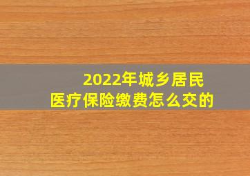 2022年城乡居民医疗保险缴费怎么交的