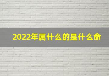 2022年属什么的是什么命