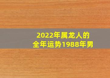 2022年属龙人的全年运势1988年男