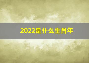 2022是什么生肖年