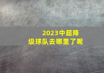 2023中超降级球队去哪里了呢