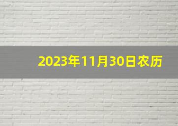 2023年11月30日农历