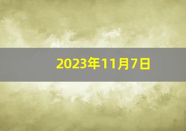 2023年11月7日