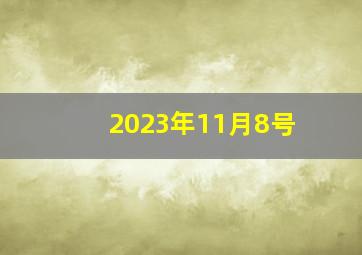 2023年11月8号