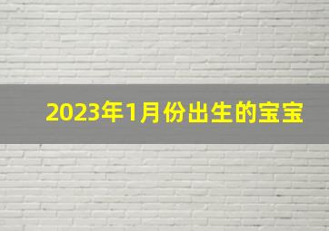 2023年1月份出生的宝宝