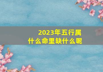 2023年五行属什么命里缺什么呢