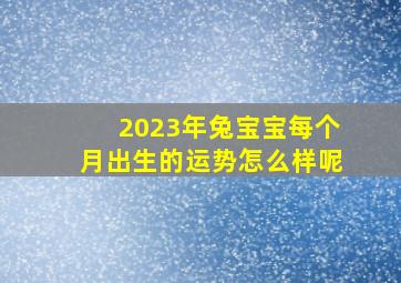 2023年兔宝宝每个月出生的运势怎么样呢