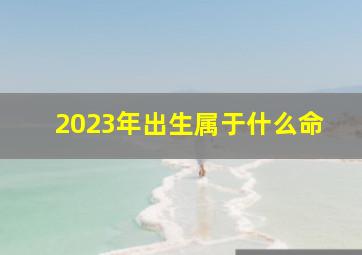 2023年出生属于什么命