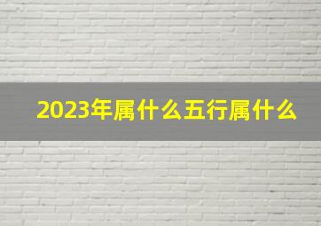 2023年属什么五行属什么