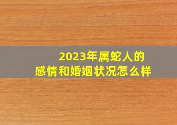 2023年属蛇人的感情和婚姻状况怎么样