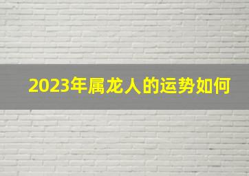 2023年属龙人的运势如何