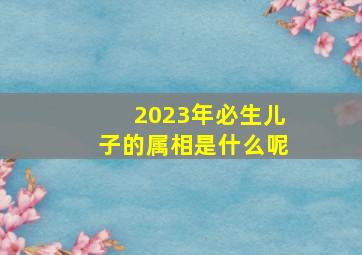 2023年必生儿子的属相是什么呢