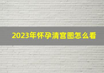 2023年怀孕清宫图怎么看