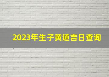 2023年生子黄道吉日查询