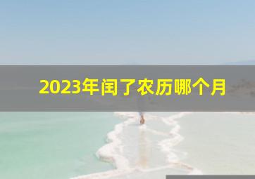 2023年闰了农历哪个月