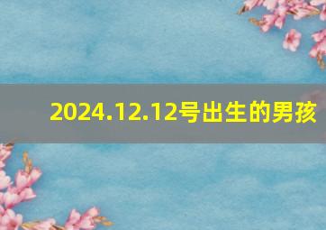 2024.12.12号出生的男孩