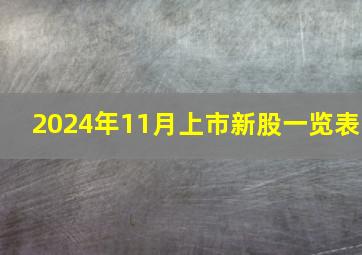 2024年11月上市新股一览表