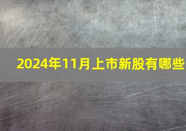 2024年11月上市新股有哪些