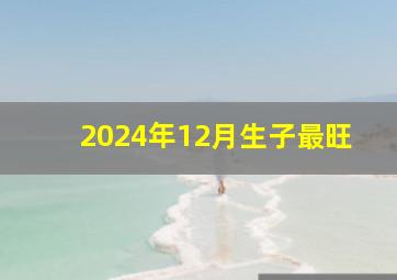 2024年12月生子最旺