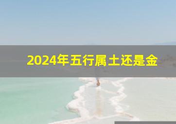 2024年五行属土还是金