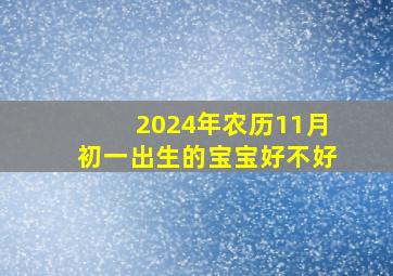 2024年农历11月初一出生的宝宝好不好