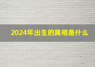 2024年出生的属相是什么