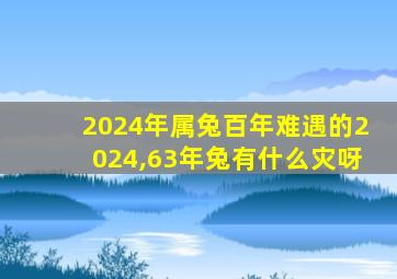 2024年属兔百年难遇的2024,63年兔有什么灾呀