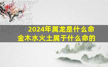 2024年属龙是什么命金木水火土属于什么命的