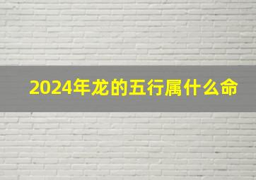 2024年龙的五行属什么命