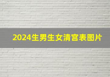 2024生男生女清宫表图片